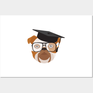 Bulldog With Glasses and University Graduation cap Posters and Art